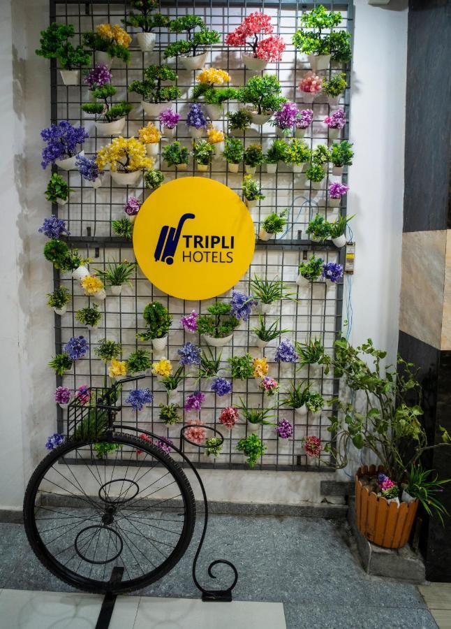 Tripli Hotels Arunoday Palace Ουνταϊπούρ Εξωτερικό φωτογραφία